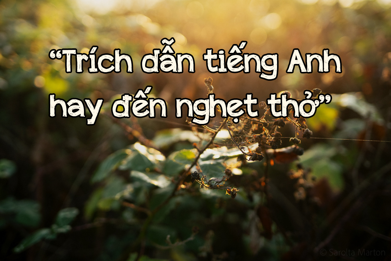 Vài câu trích dẫn tiếng anh hay đến nghẹt thở Vài câu trích dẫn tiếng anh hay đến nghẹt thở